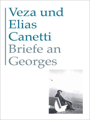 cover image of Briefe an Georges